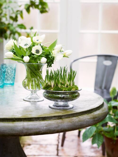 Holmegaard vase og blomsterskål, Der er en blomstrende interesse for interiør mode og indretning, og attraktive blomsterarrangementer er en spirende trend