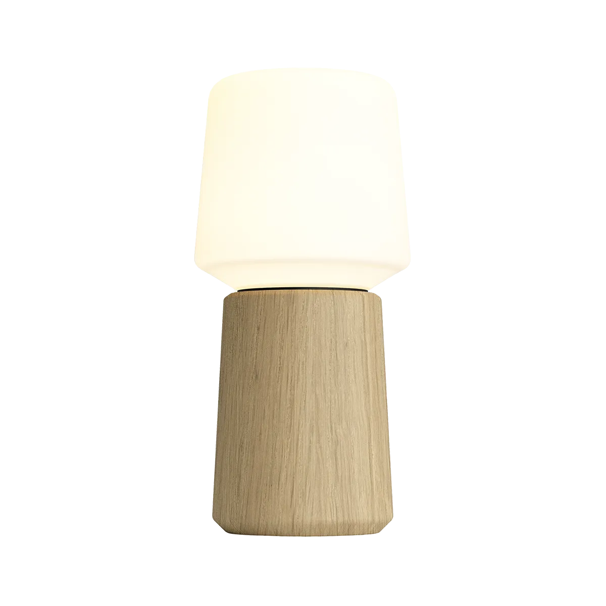 SACKit Lamp Intelligent+ & Oslo Natural Oak 10