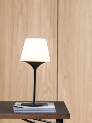 SACKit Lamp Intelligent + Aalborg Black 35