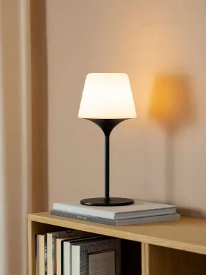 SACKit Lamp Intelligent + Aalborg Black 35